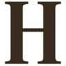 News Icon