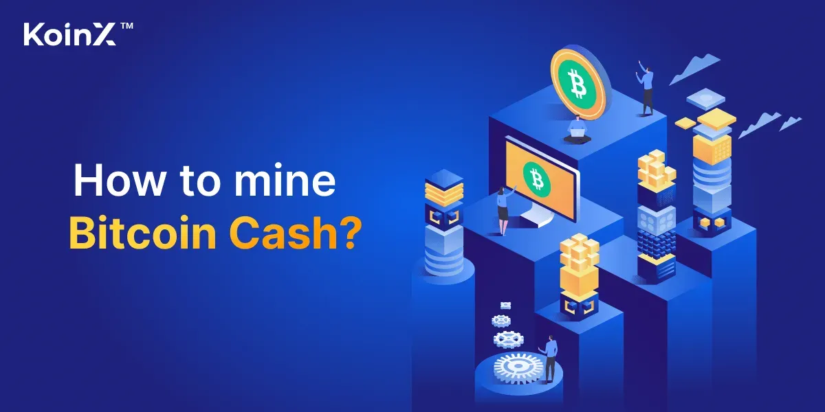 Bitcoin Cash (1)
